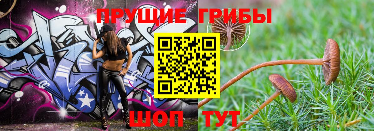 Псилоцибиновые грибы Psilocybine cubensis Ивантеевка